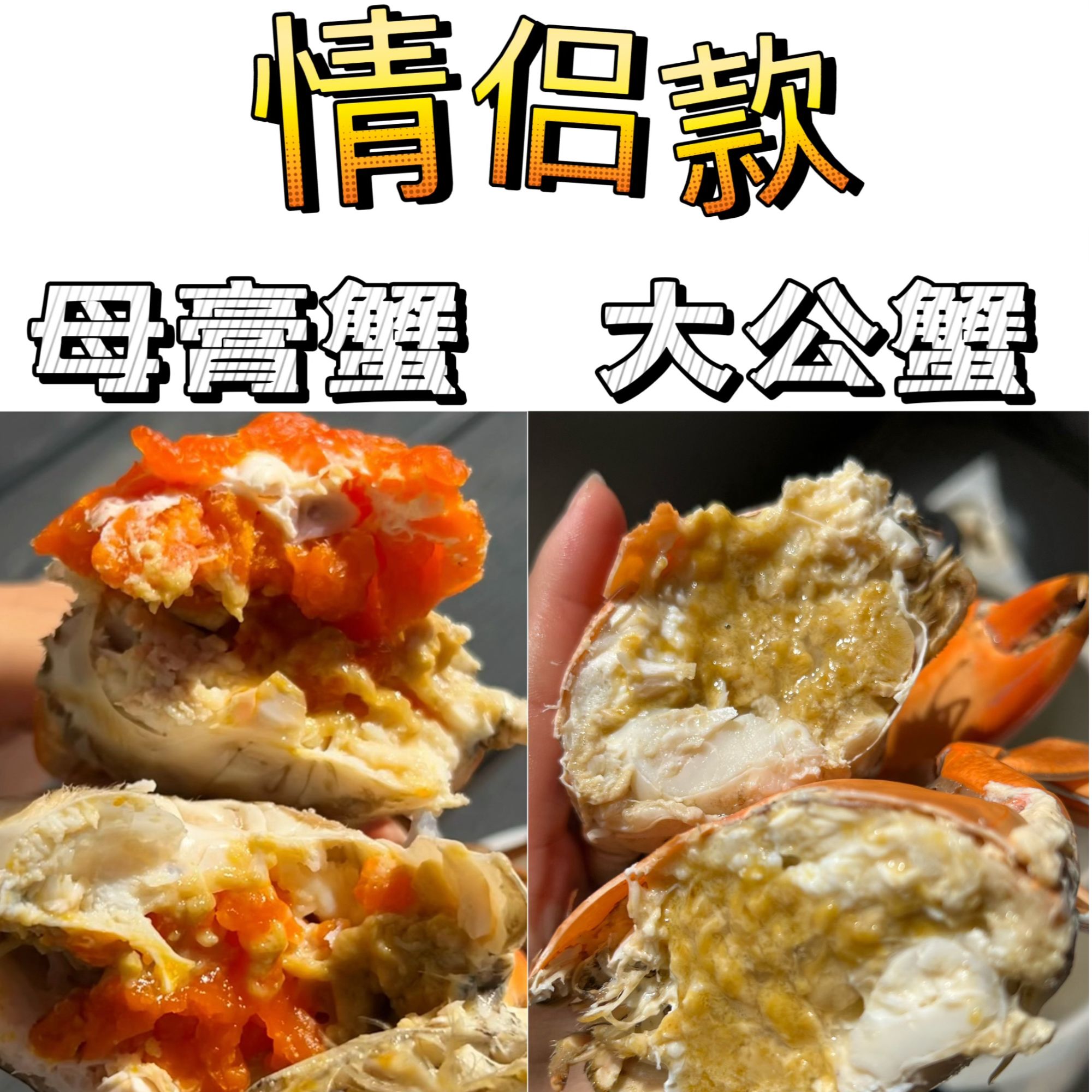 两大公两母膏到手4只鲜活肉质鲜美适合送礼正宗浙江三门青蟹顺丰