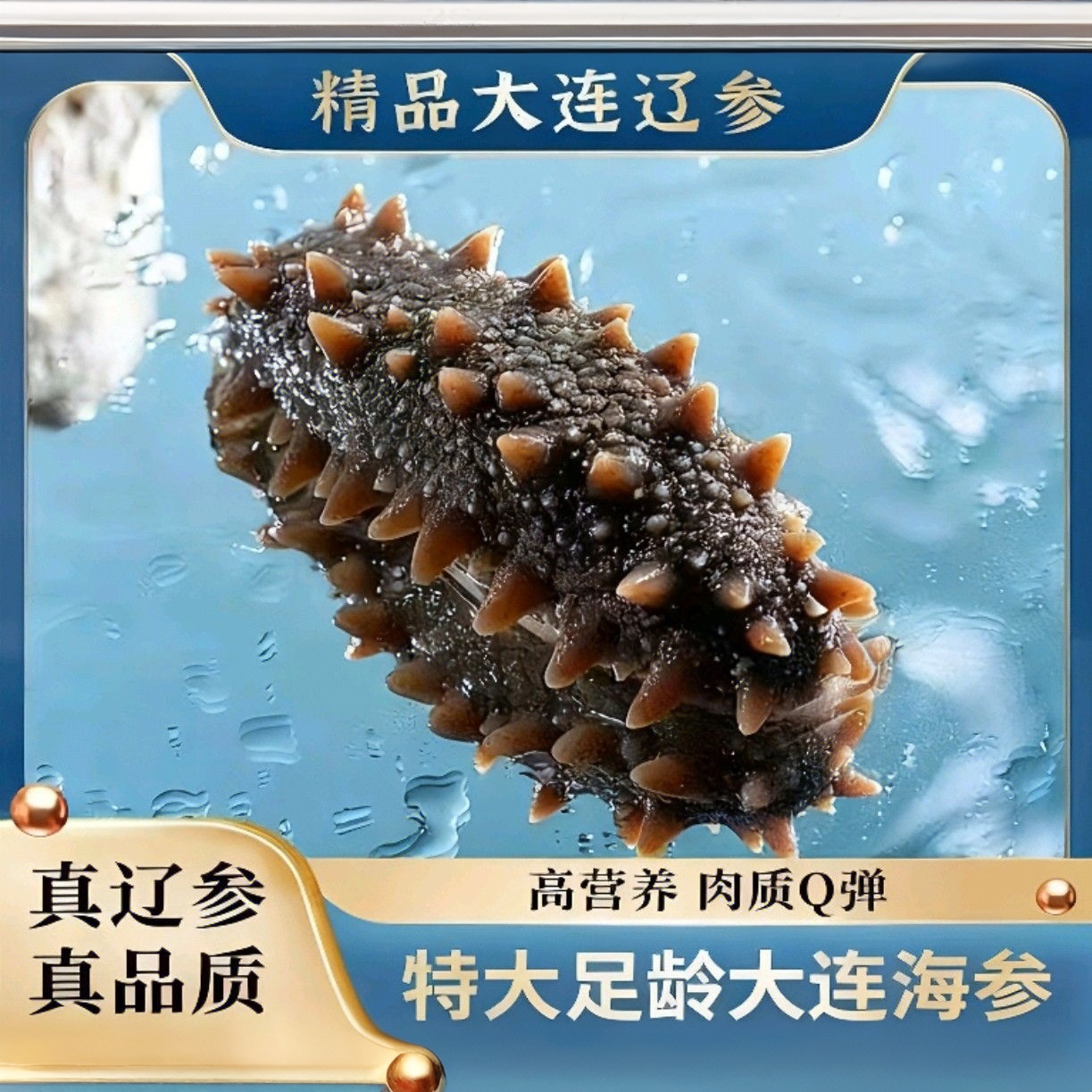大连即食海参深海辽刺参秋深   Q弹嚼劲 独立真空包装
