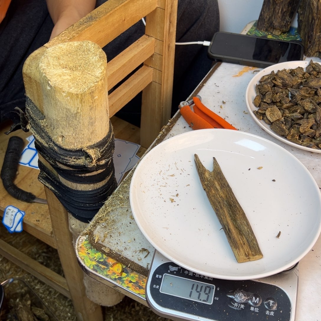 线香奇楠虫漏香32克