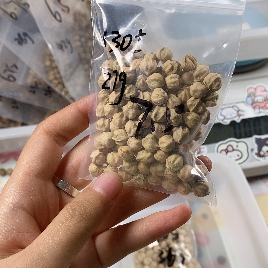 岛***情柏香籽/百香籽吊坠