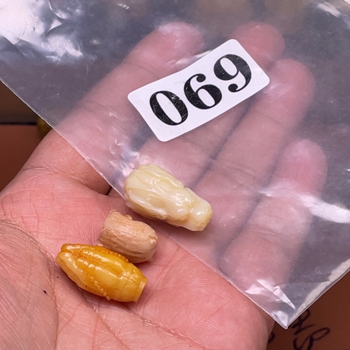 驼骨摆件人工养殖