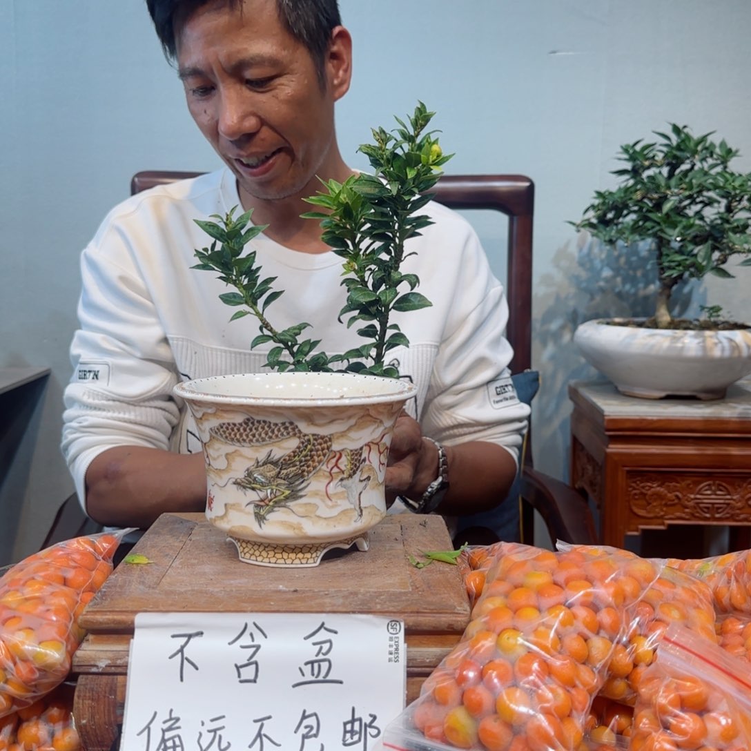 少量花朵（建议范围：2朵-5朵 或40%以下）南*