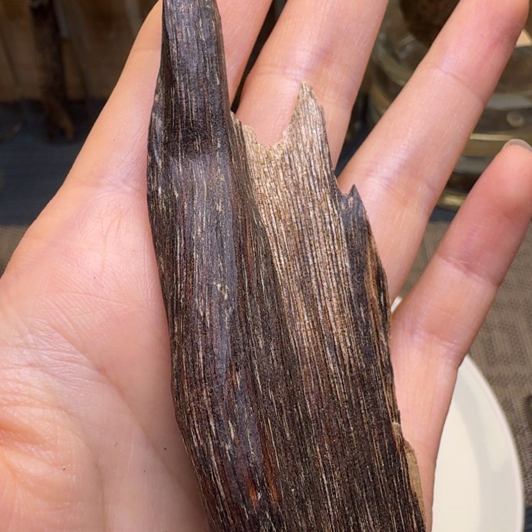 木海南尖峰岭黑油虫漏6.5克