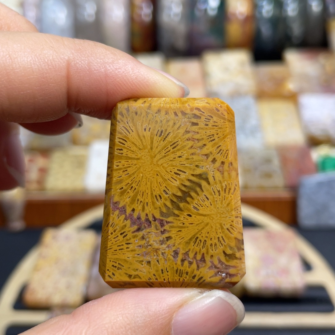硅化玉未镶嵌颈饰k67