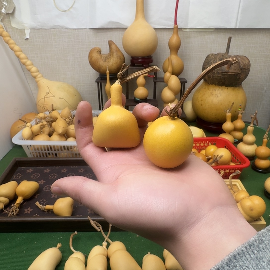 左***子葫芦1111111111111