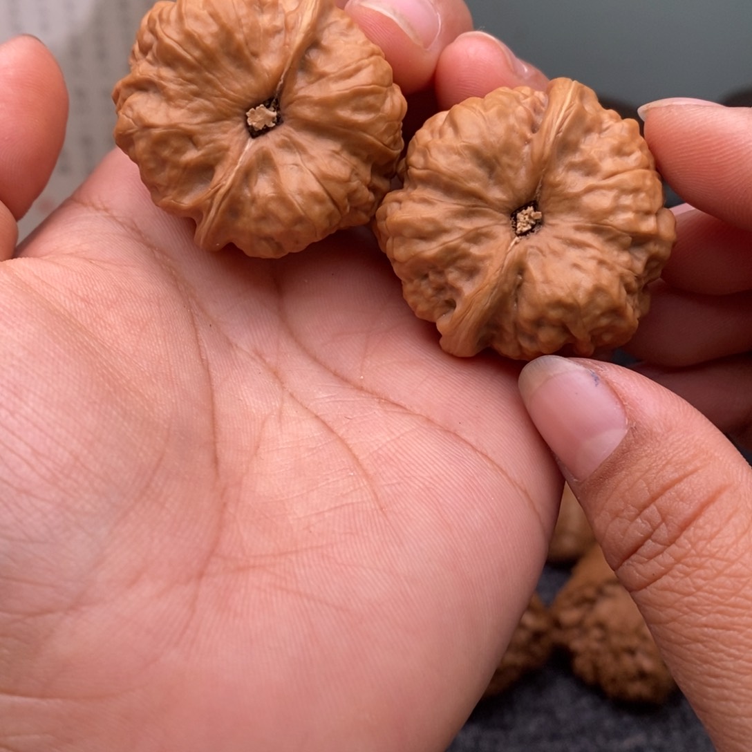 文玩核桃把件36蛤蟆头36