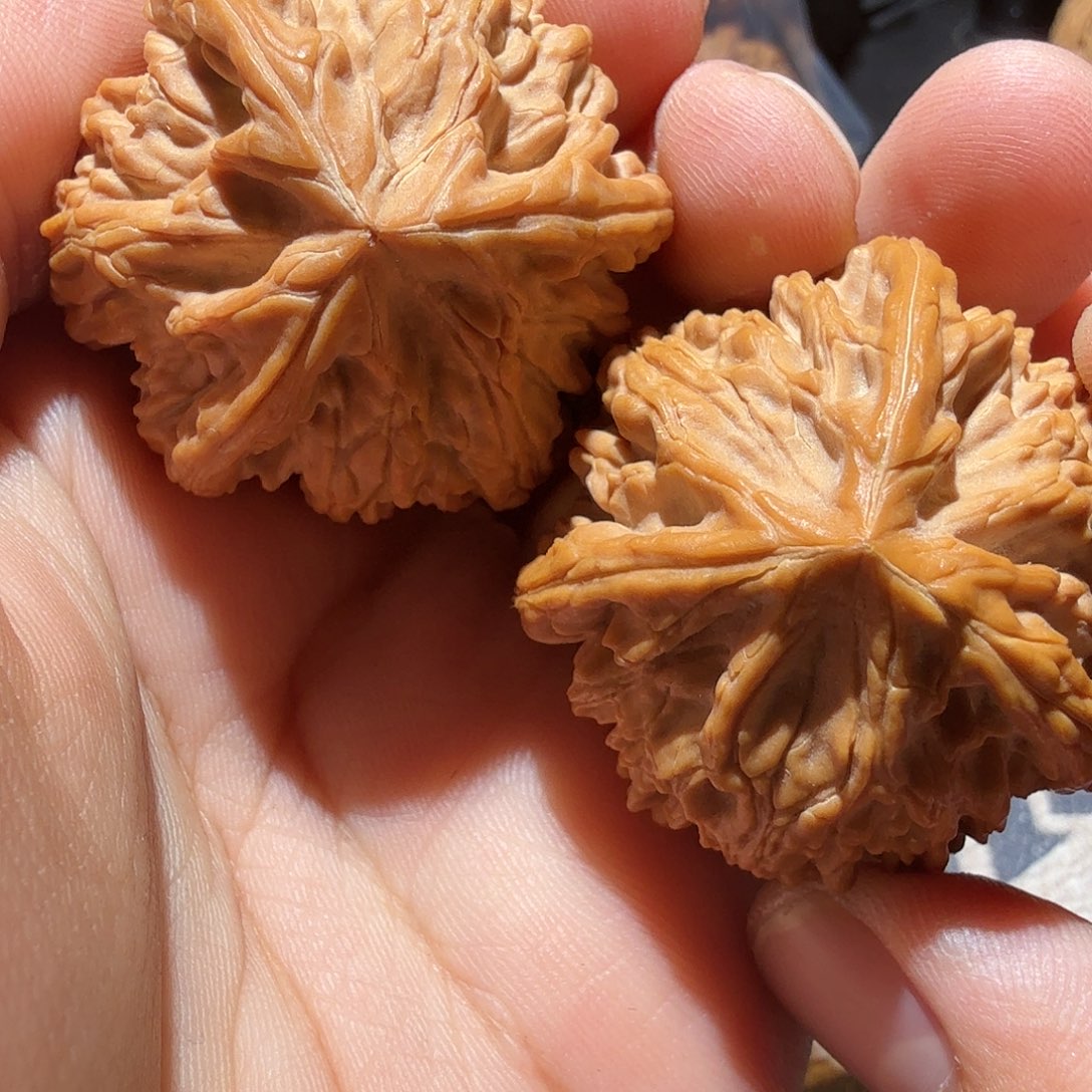 文玩核桃把件御龙正奔