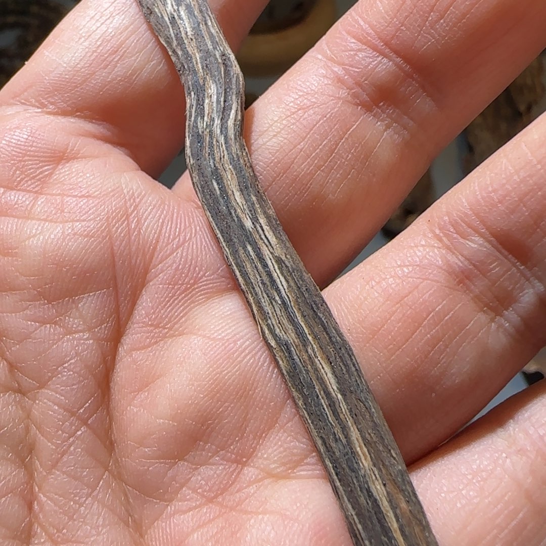 沉香碎屑沉香1.35克海南黎母山树心油99沉