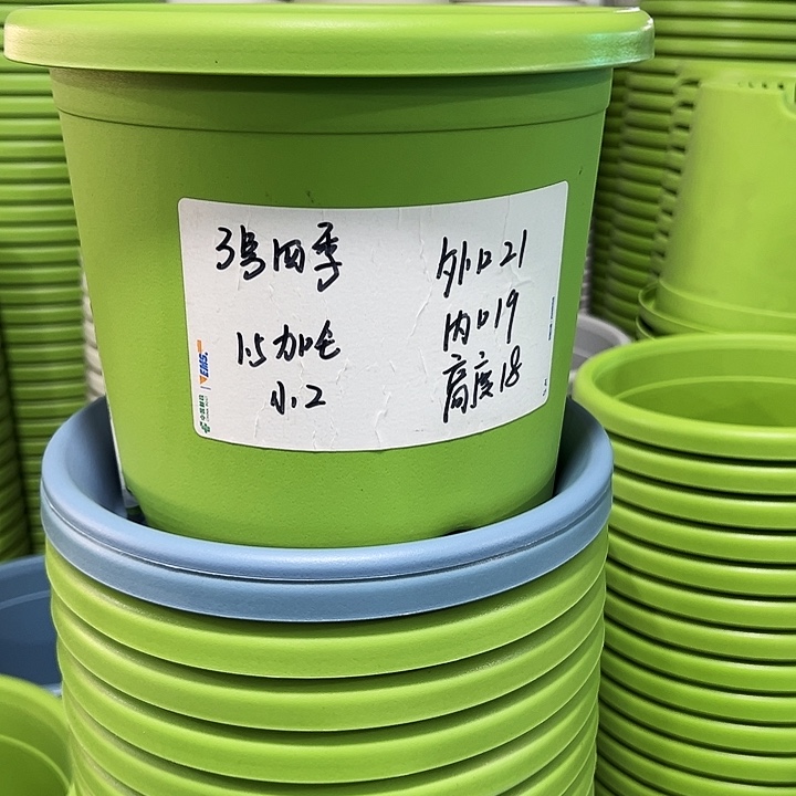 特价3号四季口29高24.5白色无托10个