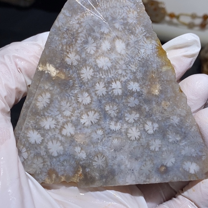 【闪购商品】未镶嵌珊瑚玉硅化玉