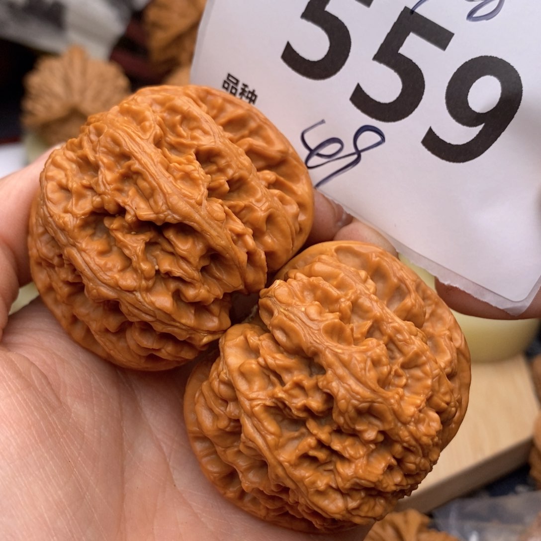 文玩核桃把件559号49粗筋