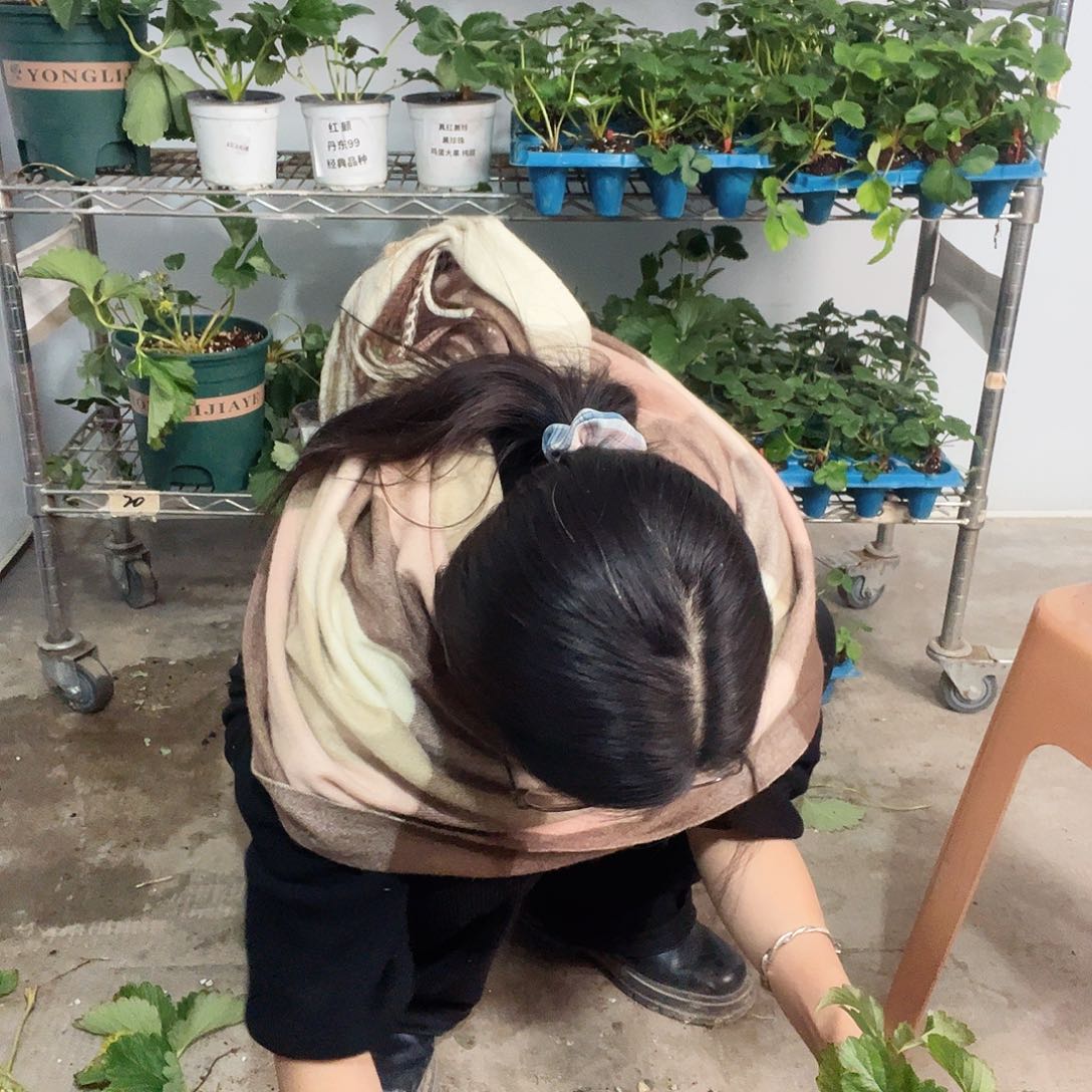 现场种的一兜苗香野，有备注