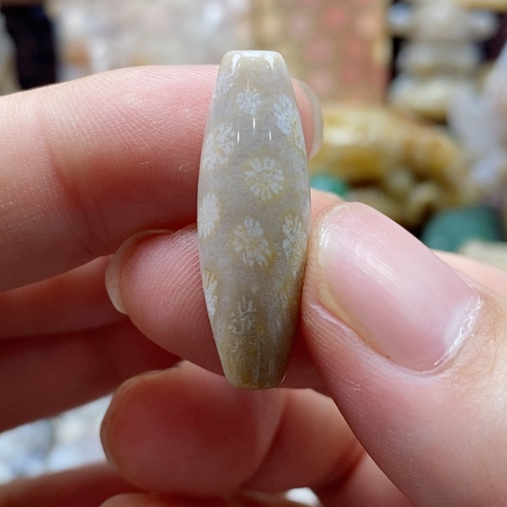 硅化珊瑚（珊瑚玉）颈饰未镶嵌