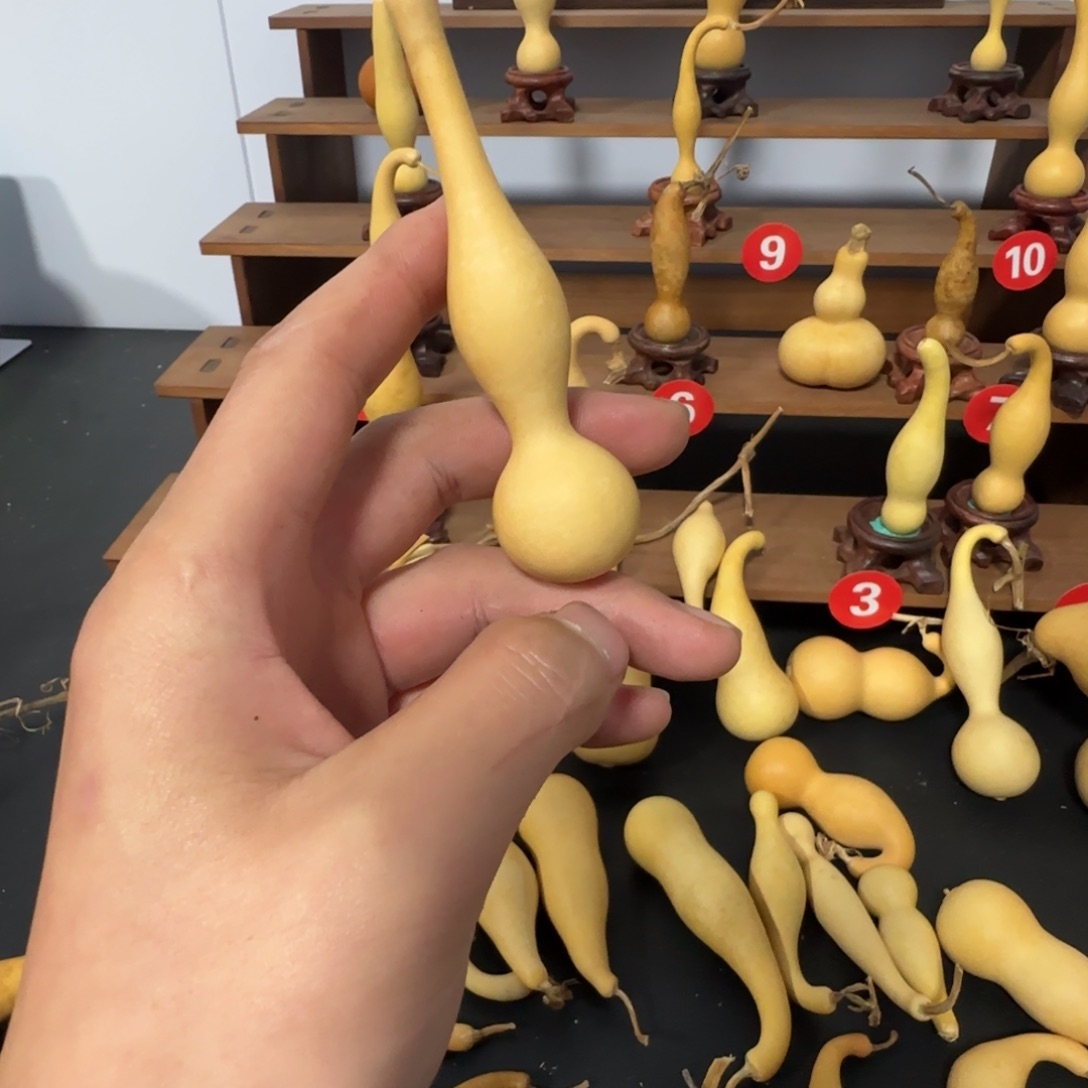 纳***技大叶紫檀（黑酸枝木类）