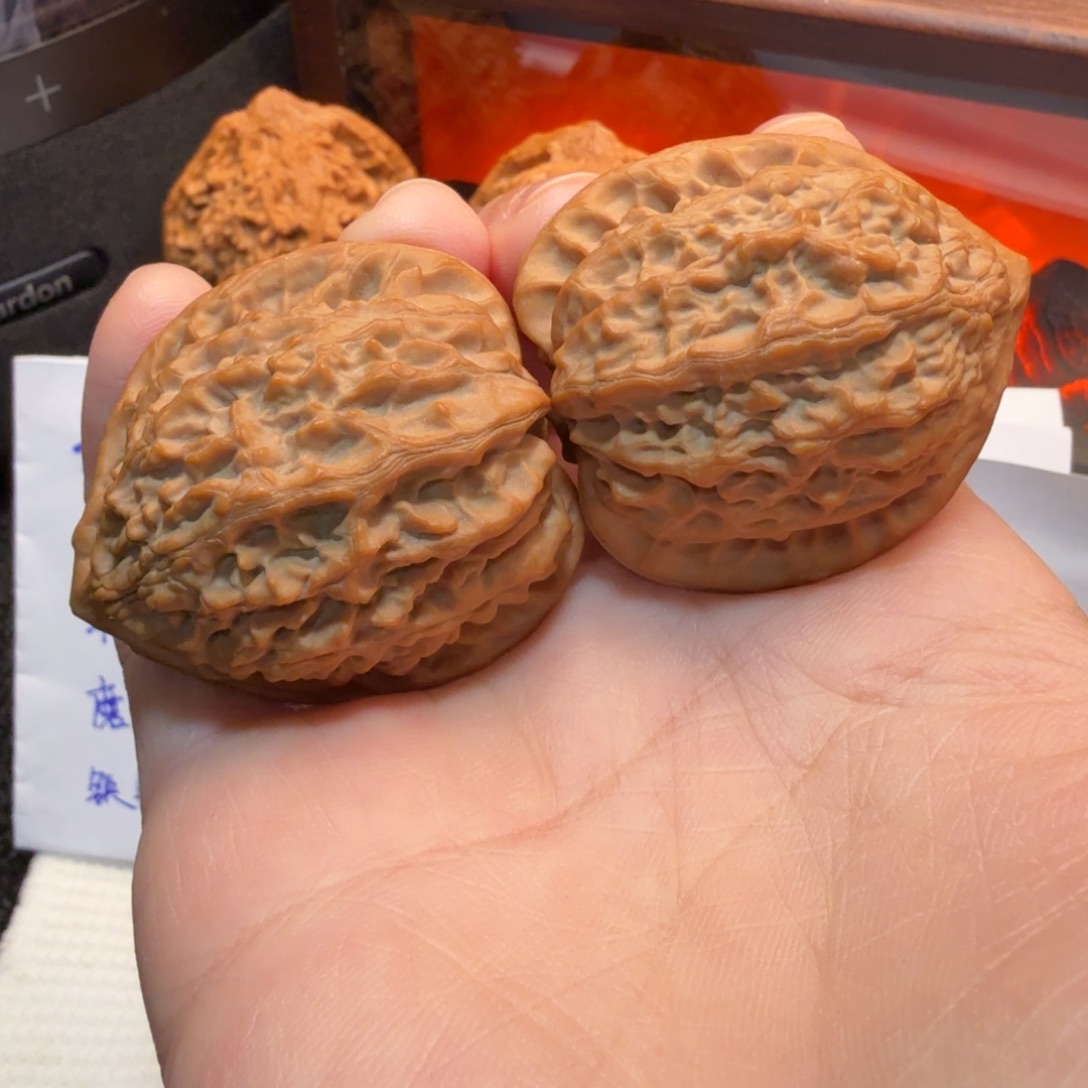 核桃37+全品山地金牛