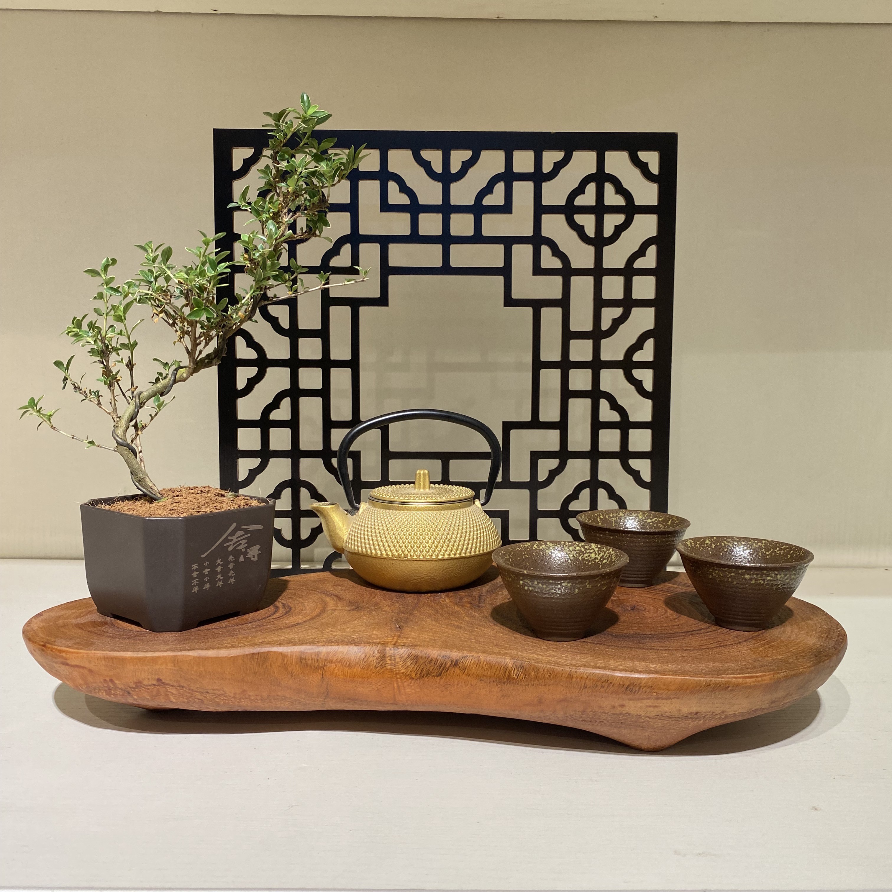 【创意居家摆件*随型干泡盘】