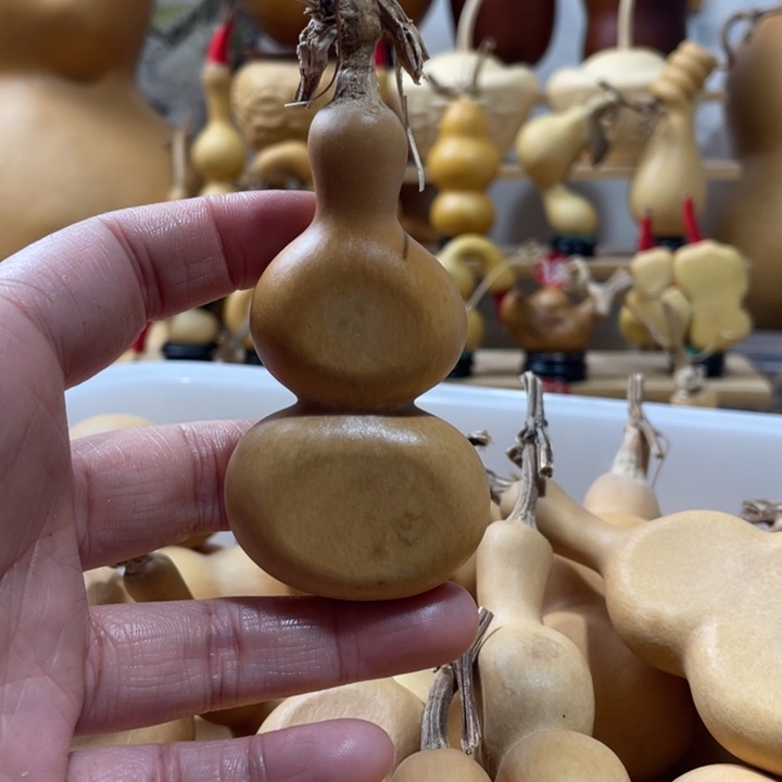 虫***毛8美好的一天从吃瓜开始