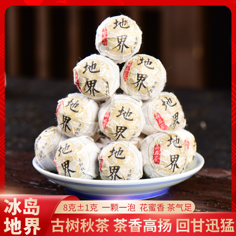 【地界古树秋茶】冰岛地界古树秋2024普洱茶古树茶龙珠茶叶
