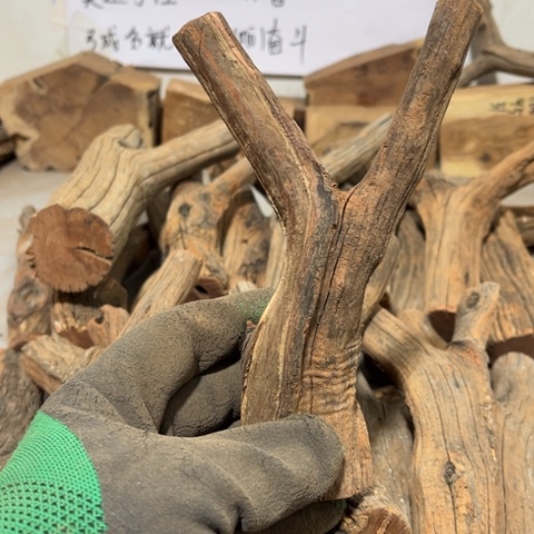 大果紫檀（缅甸花梨）紫****）