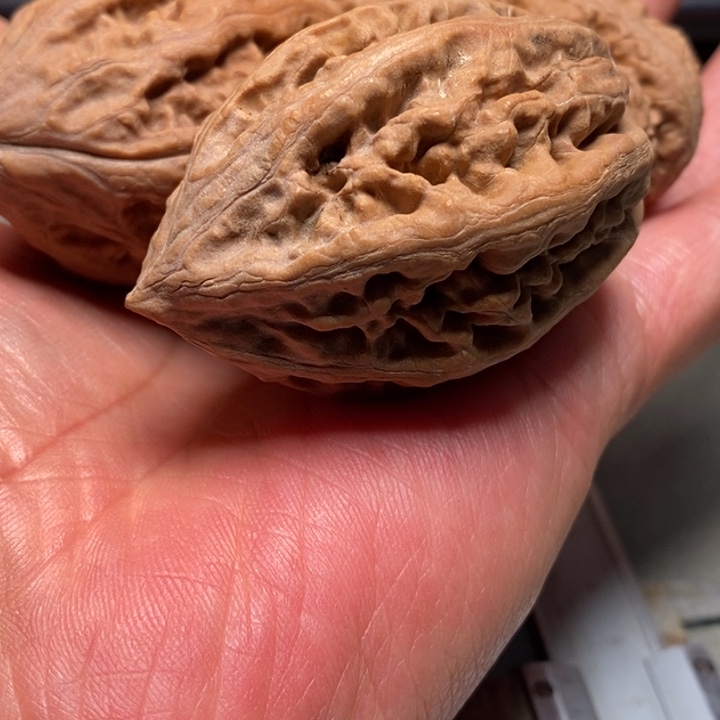 傅***毛文玩核桃把件17文玩核桃把件