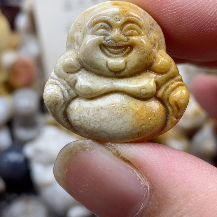 颈饰未镶嵌硅化珊瑚（珊瑚玉）小