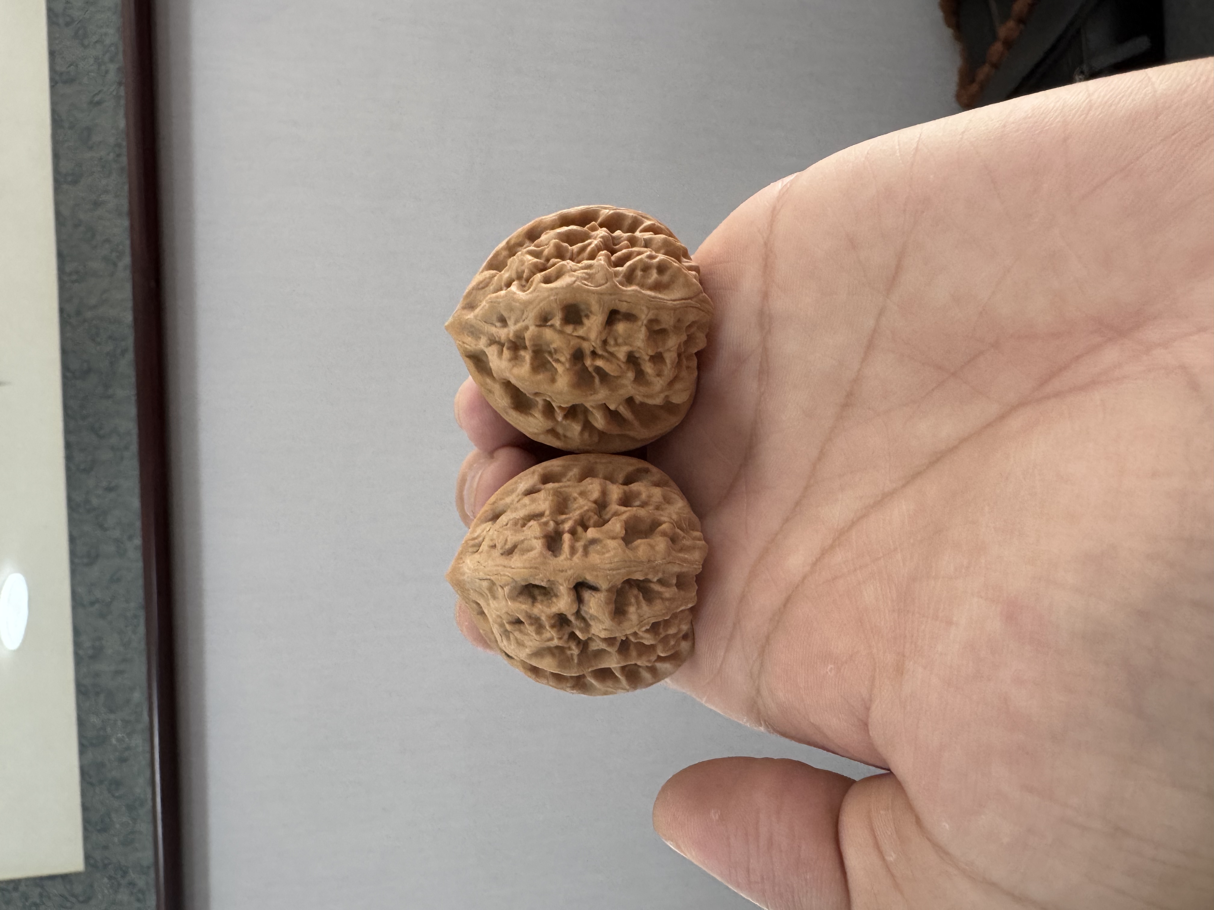 精品蓟县水晶马蹄  38尺寸 微修