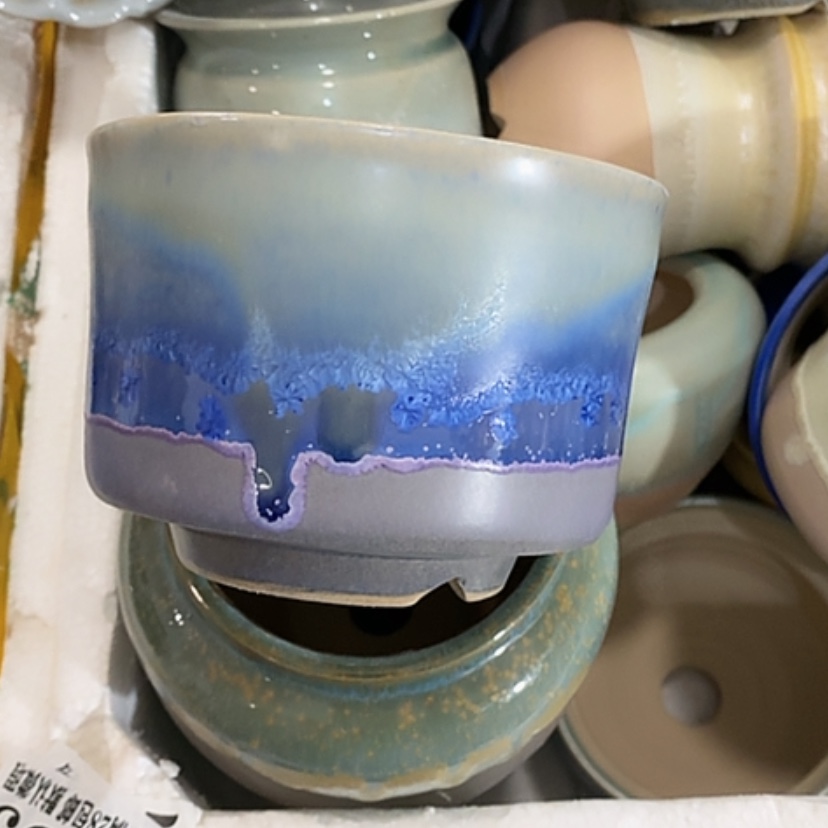 【闪购商品】红陶口10