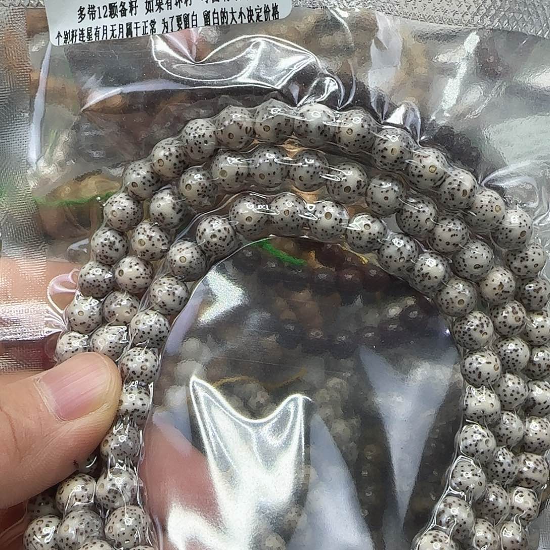 星月菩提手串72入门星月菩提8-108龙蛋