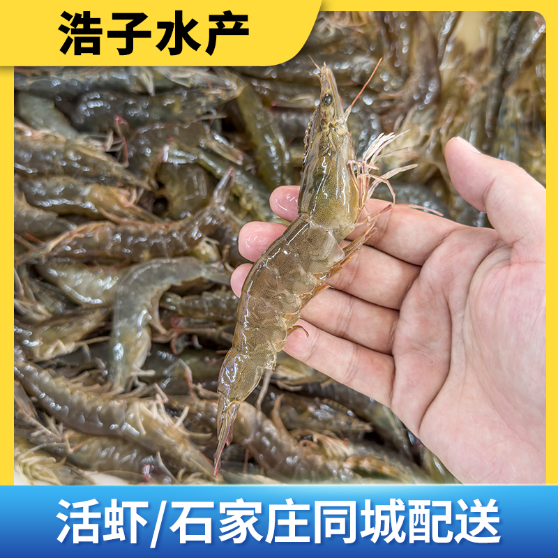 【鲜活大虾】/23元/斤/一小时同城配送