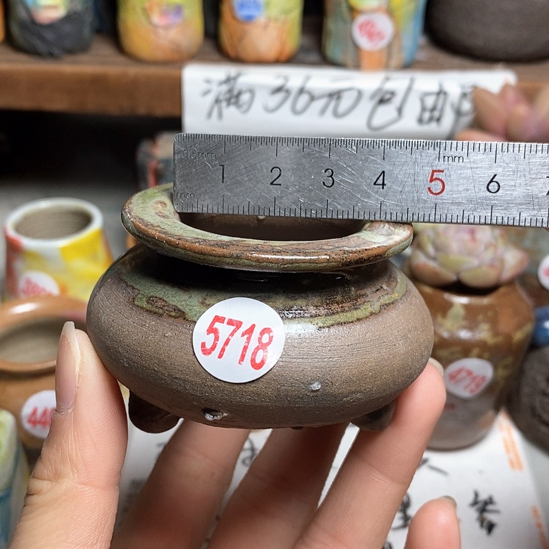 红陶拍5送一个小