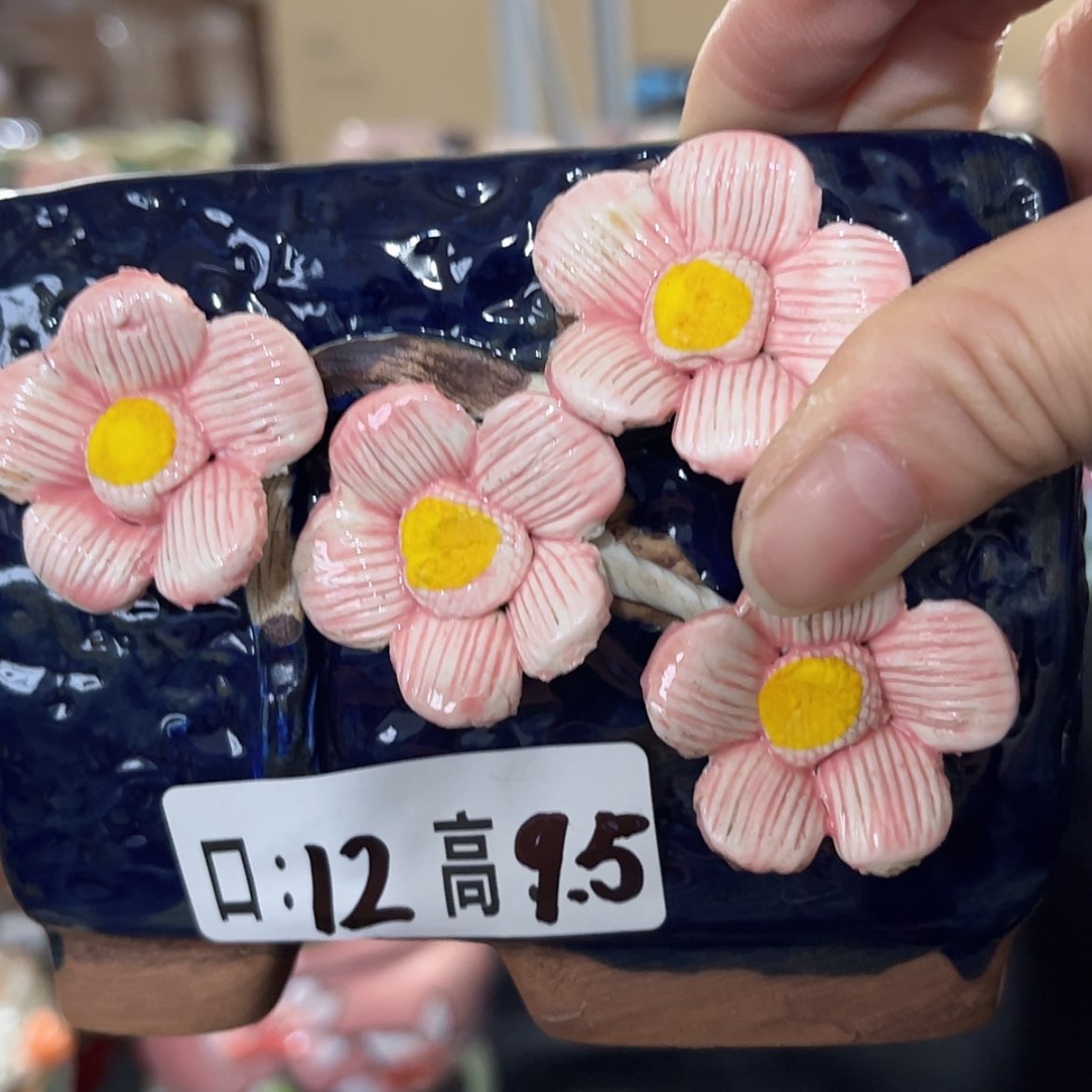 【闪购商品】红陶福利