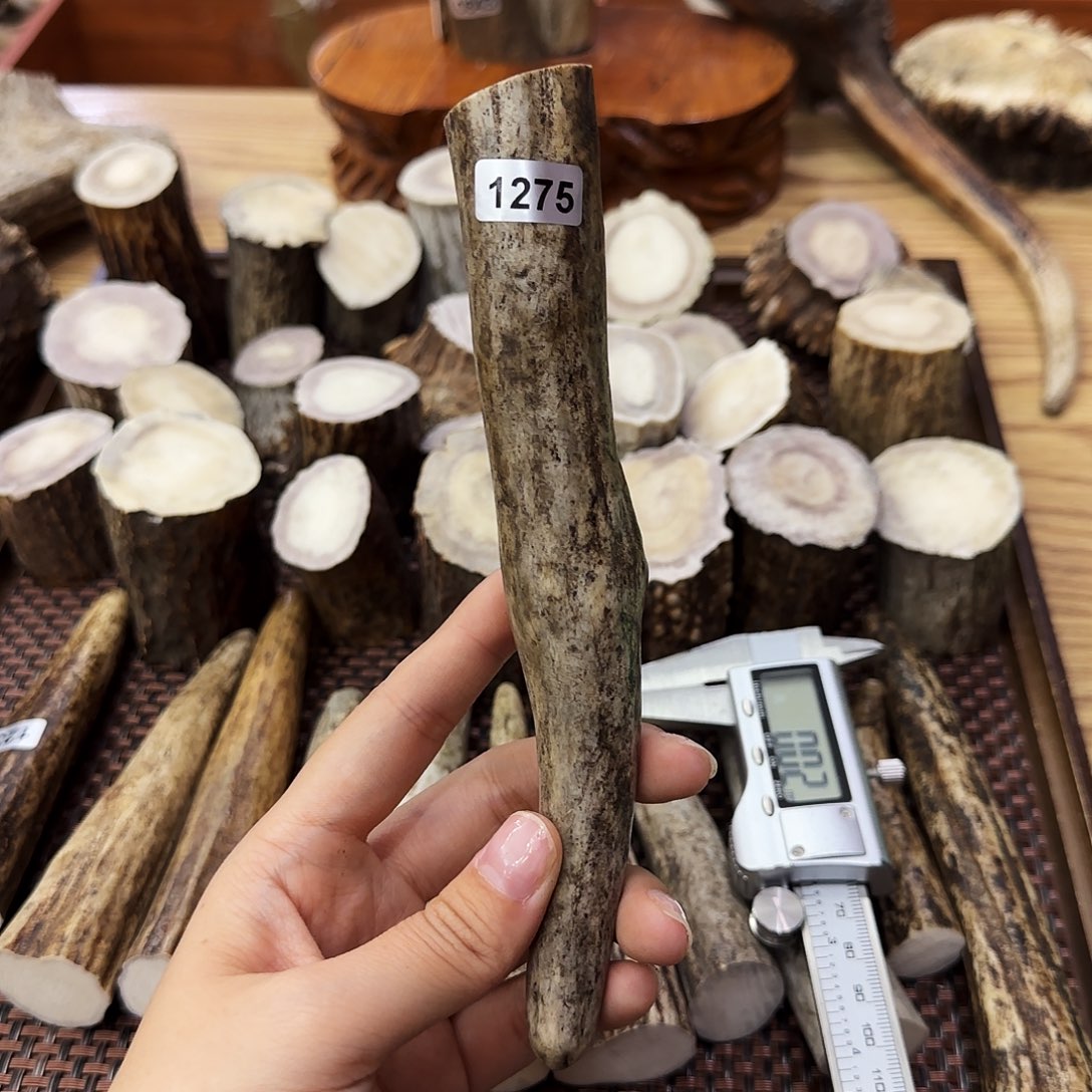 手串/手链鹿骨1275角尖17.5*2.5cm