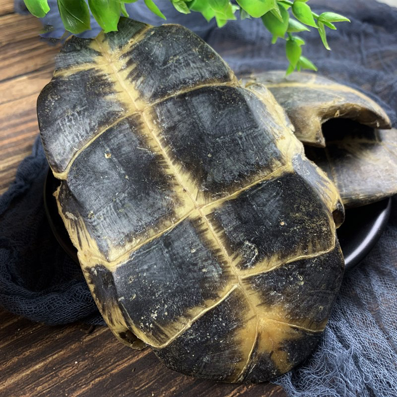 [开心精选] 龟板