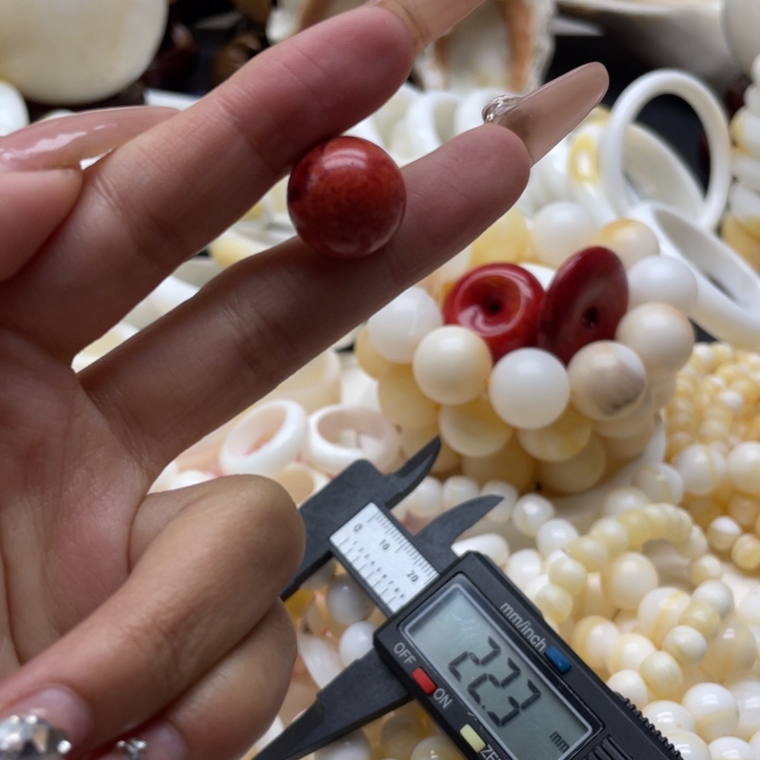 1.5精品红珊瑚单株精品