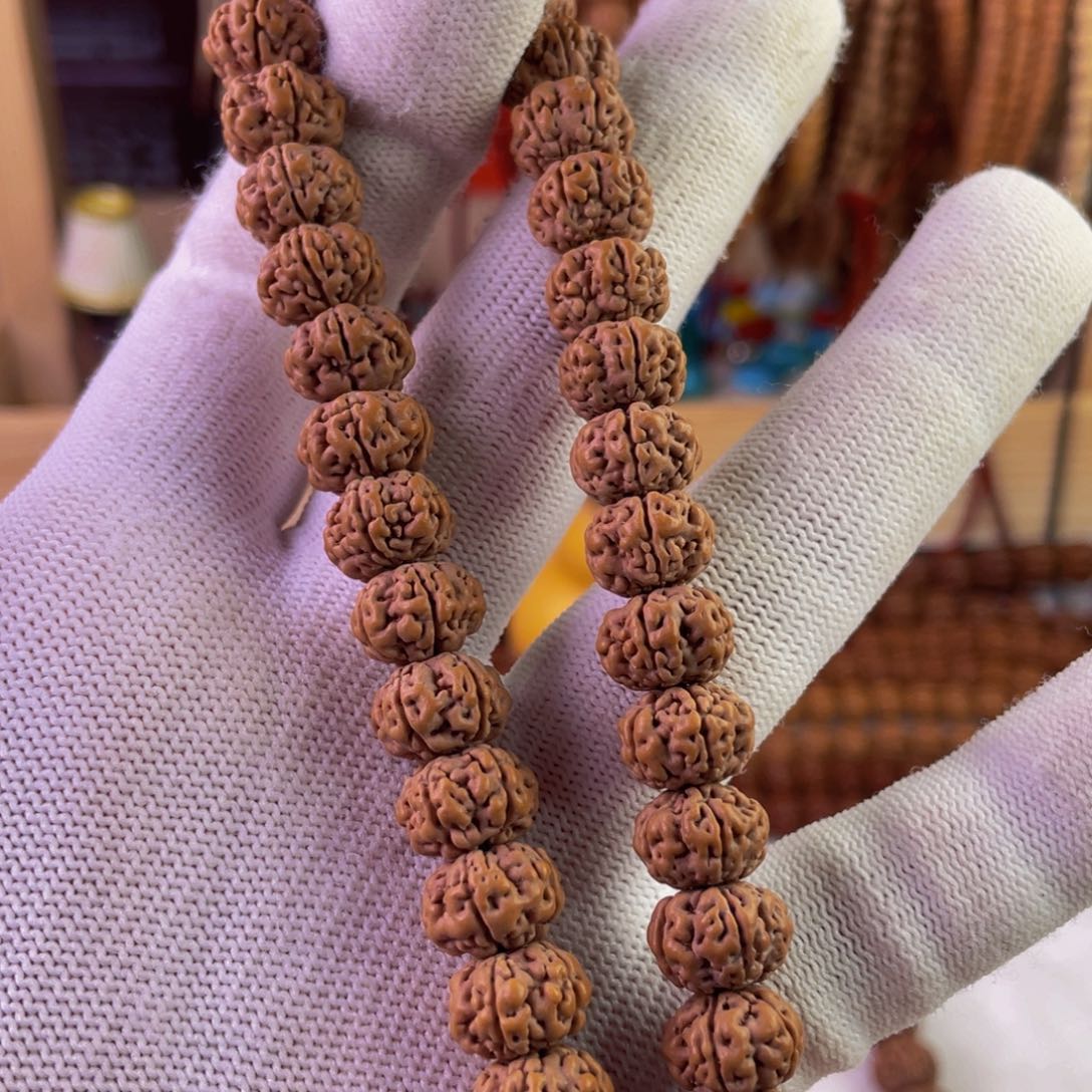 金刚菩提手串蛇****！啊啊啊啊啊啊啊啊啊