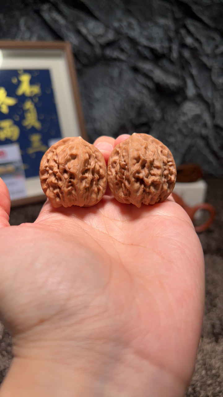 文玩核桃 原树赤兔4722号33. 5尺寸