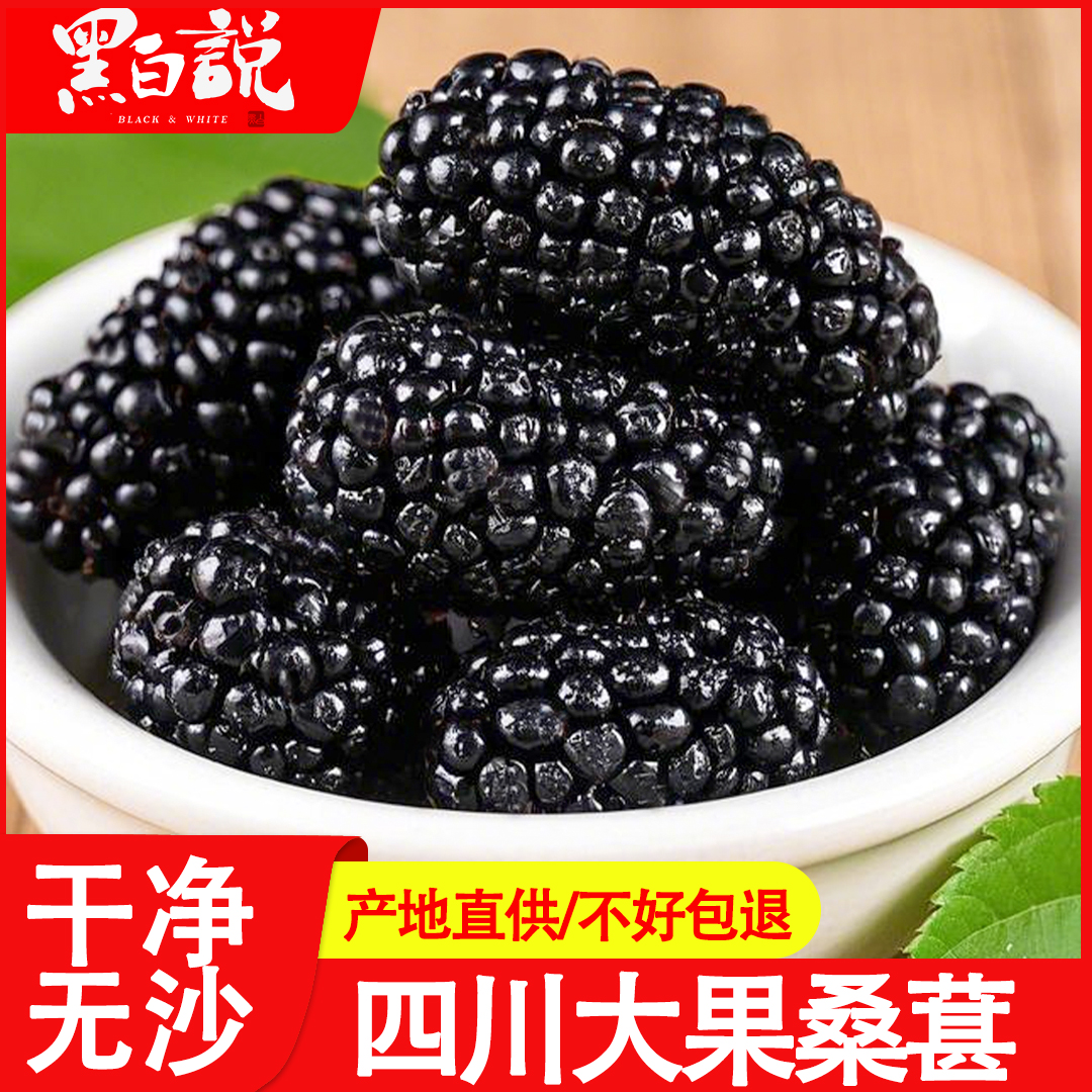 桑葚干正宗四川特产头茬新货无沙特大100%纯桑葚黑桑葚干上等桑葚