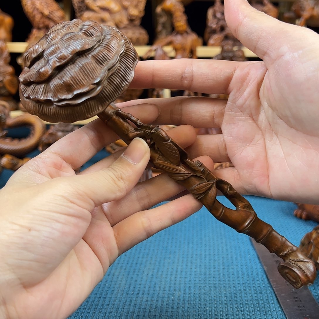 黄杨木小叶黄杨木