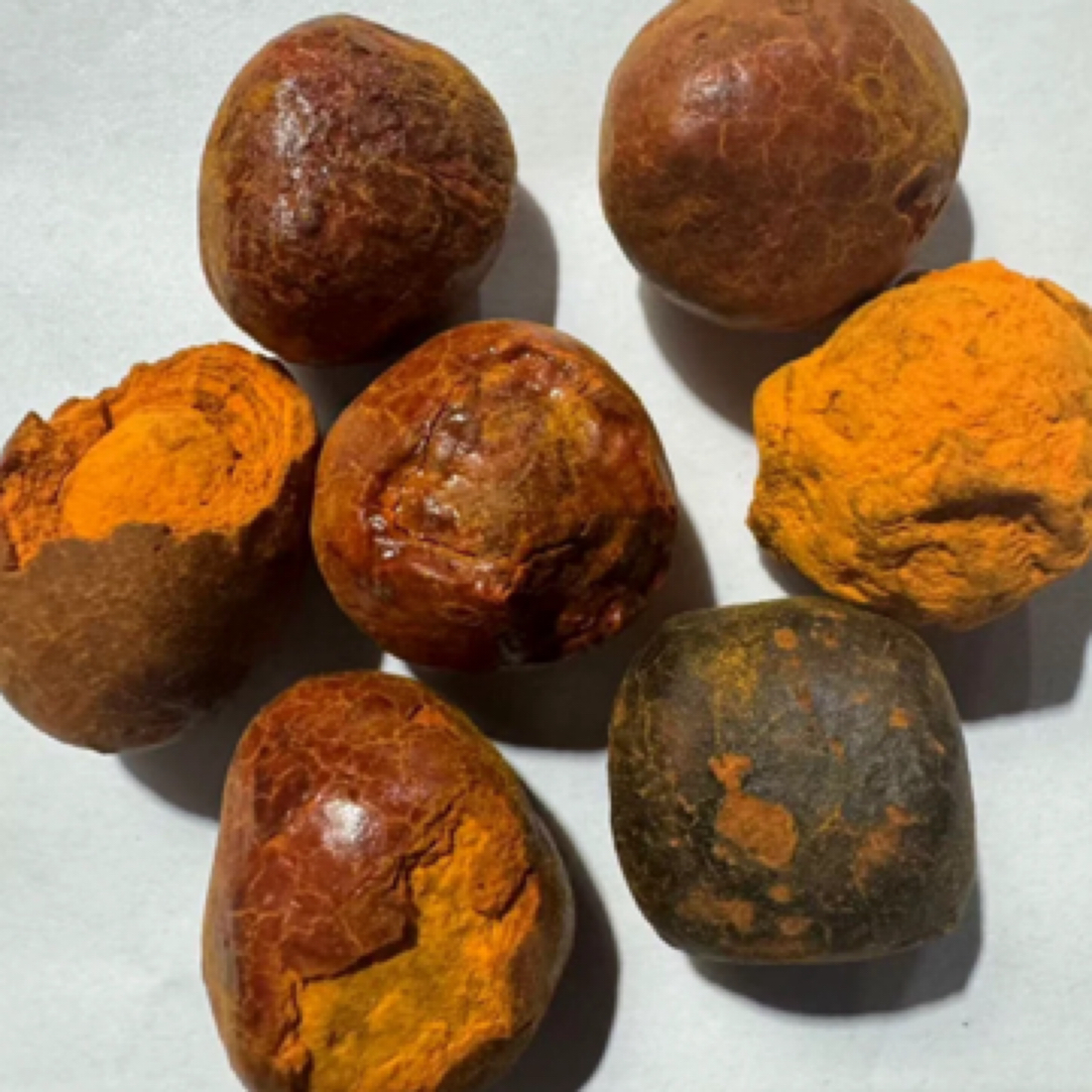 兴能收山货 牛宝 菇