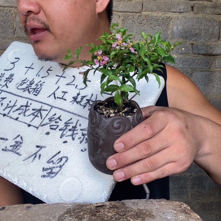 潘**1退款拉黑一物一拍90