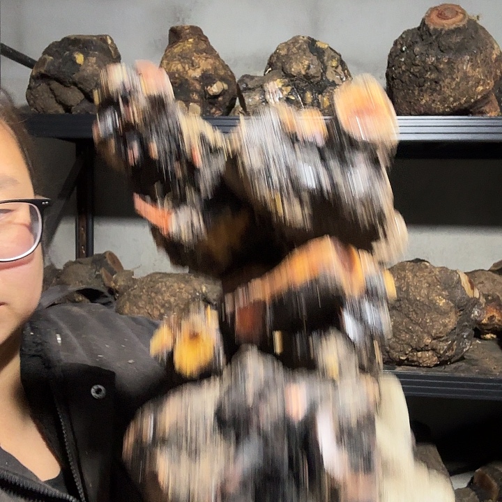 浮****香榧木火琉璃的故事是一个