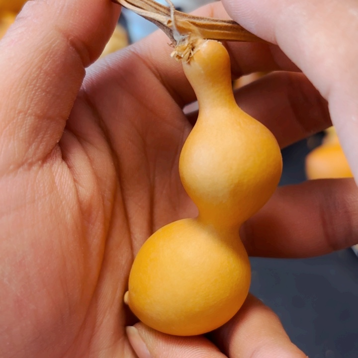 豆*喵8888888898898888888