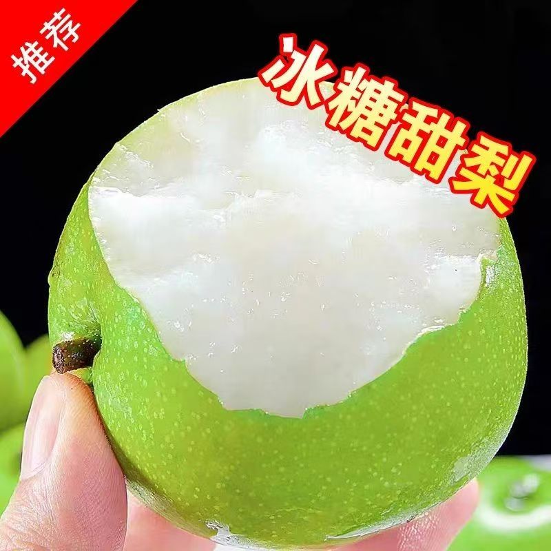 T1脆爽清甜砀山梨精品翠玉商超大果