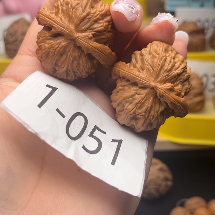 把件文玩核桃41白狮子1051