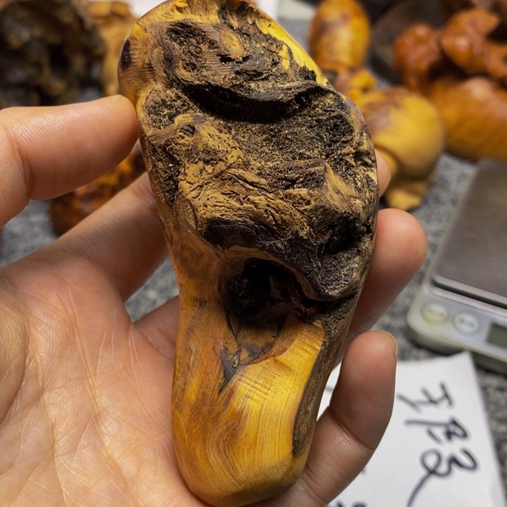 柏木（崖柏）崖柏77