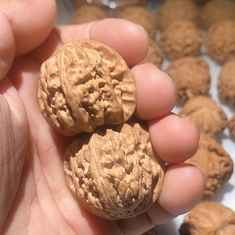 吊坠文玩核桃报**帅白狮子