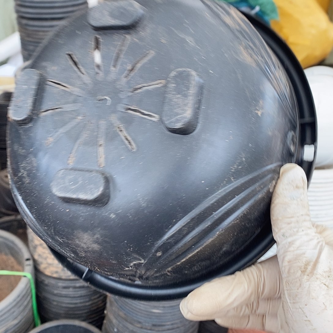 塑料旧22公分黑吊兰盆15个 