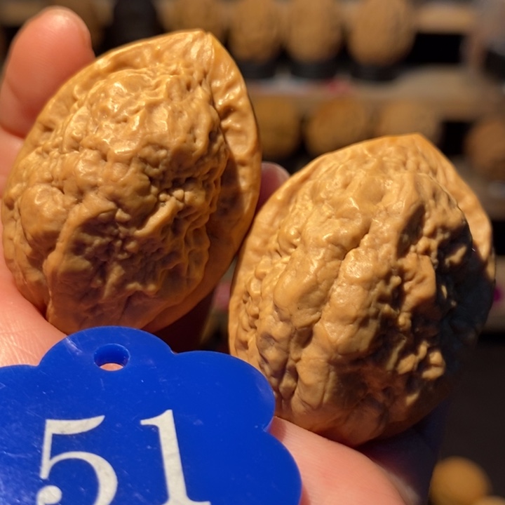 木质类云南鸡心34尺寸