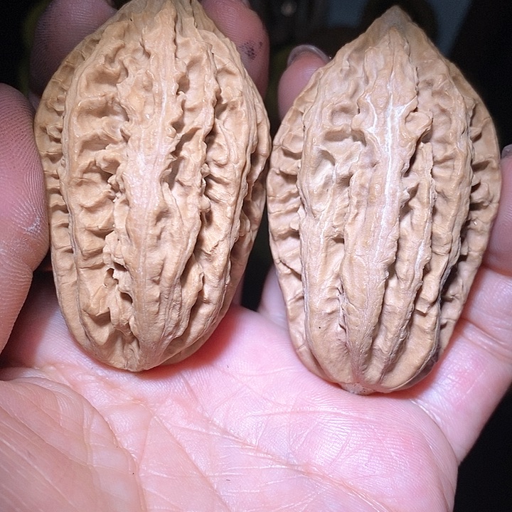 文玩核桃把件东北野生楸子小美99