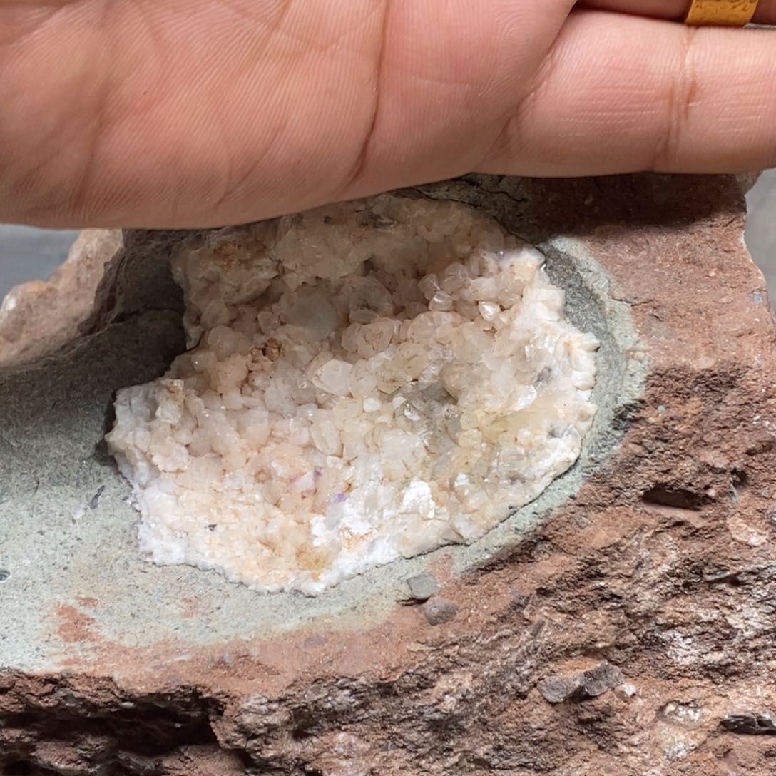 石材北****鱼大自然的秘密就是这样神奇